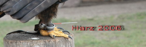Harz - Dusche, Haggi, JfK, Karl-Heinz, Michi, Parkbank, Raider